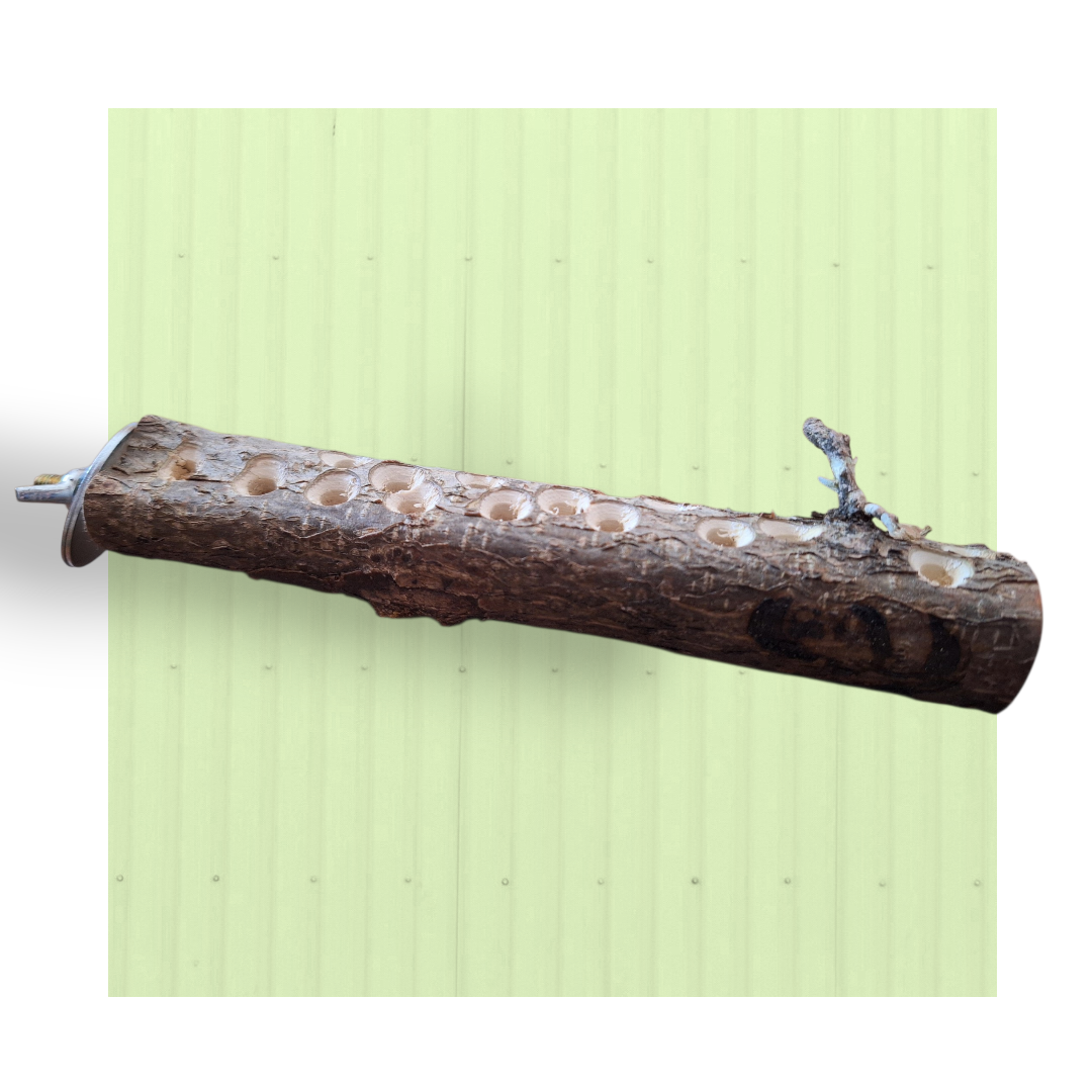 Posatoio foraging