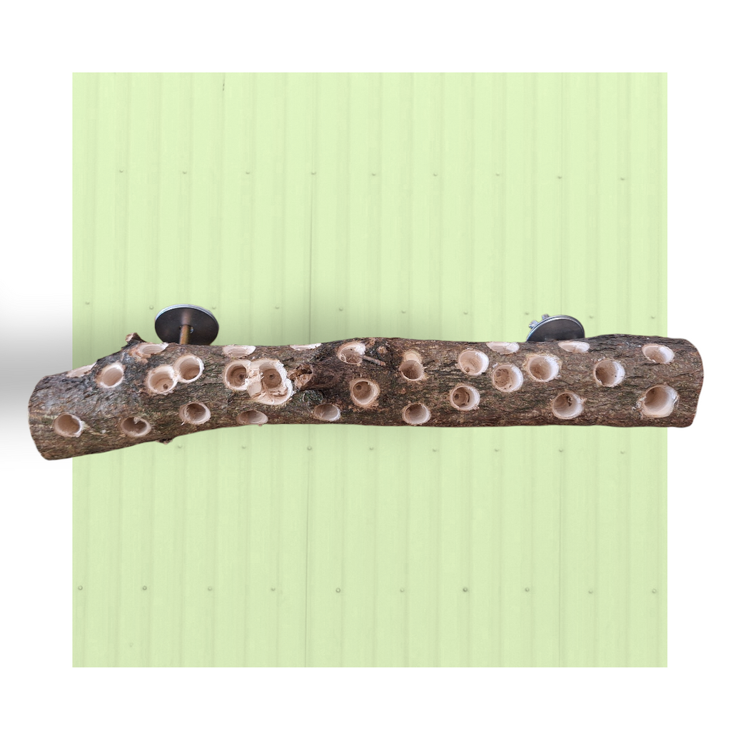 Tronco foraging da parete – Medio