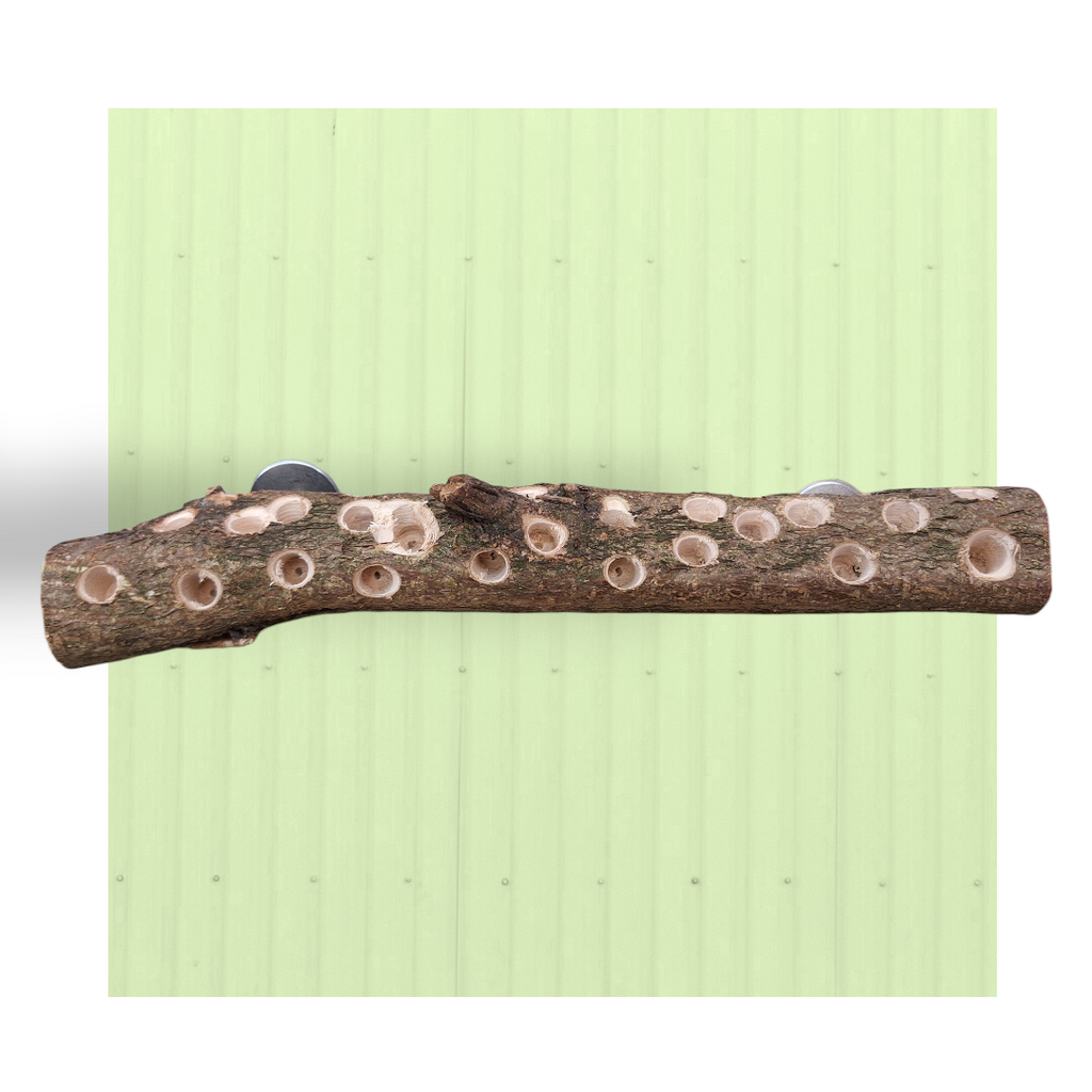 Tronco foraging da parete – Medio