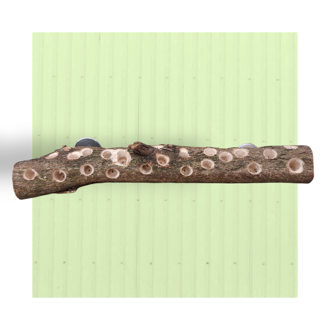 Tronco foraging da parete – Medio