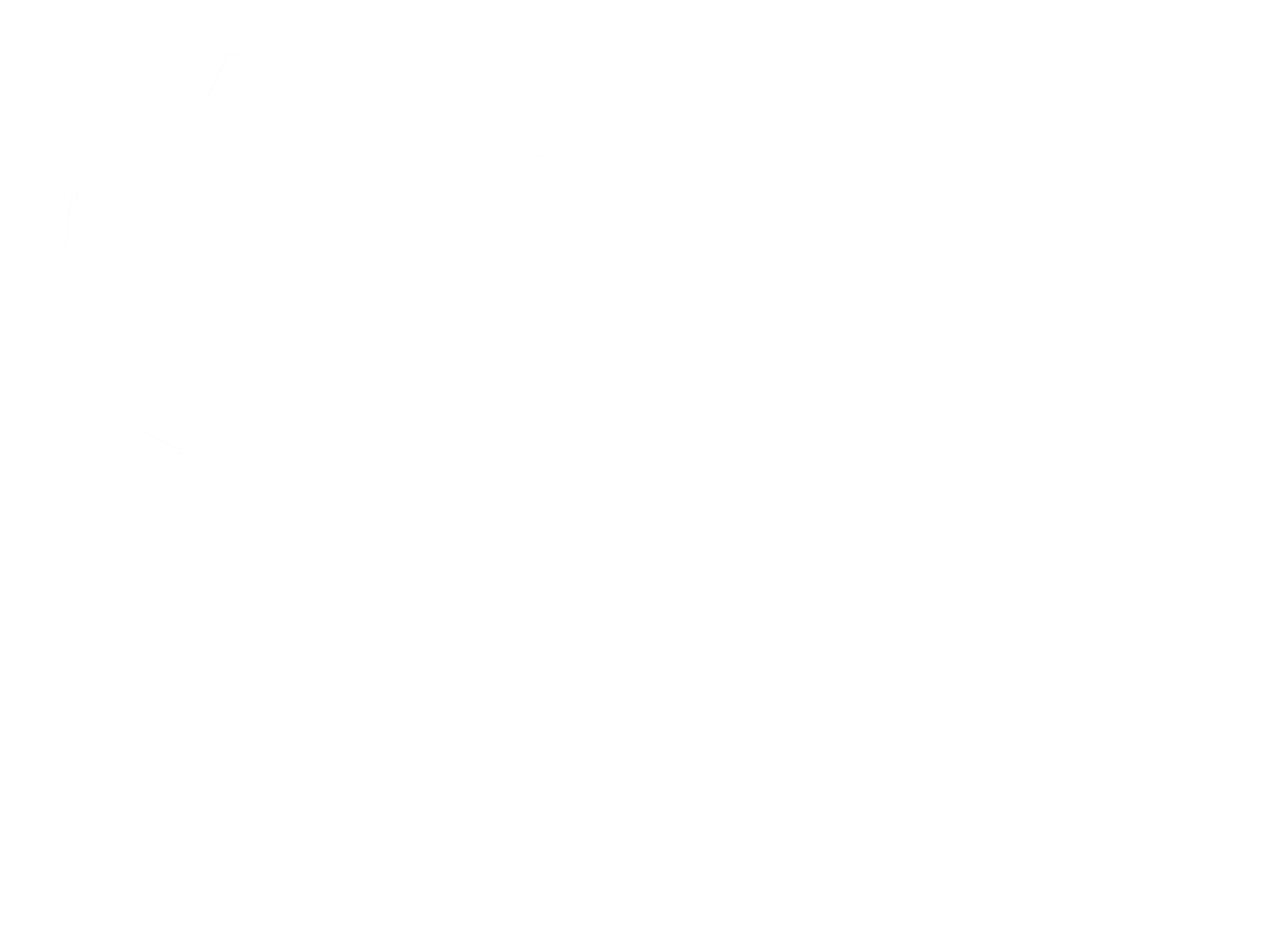 Parrot Toys
